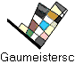 Gaumeisterschaft